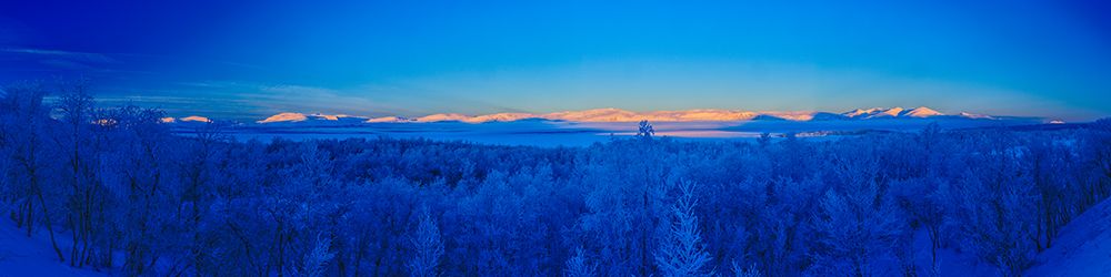 Sweden-Norrbotten-Abisko. Winter light over frosted birch forest and Torne Lake.
